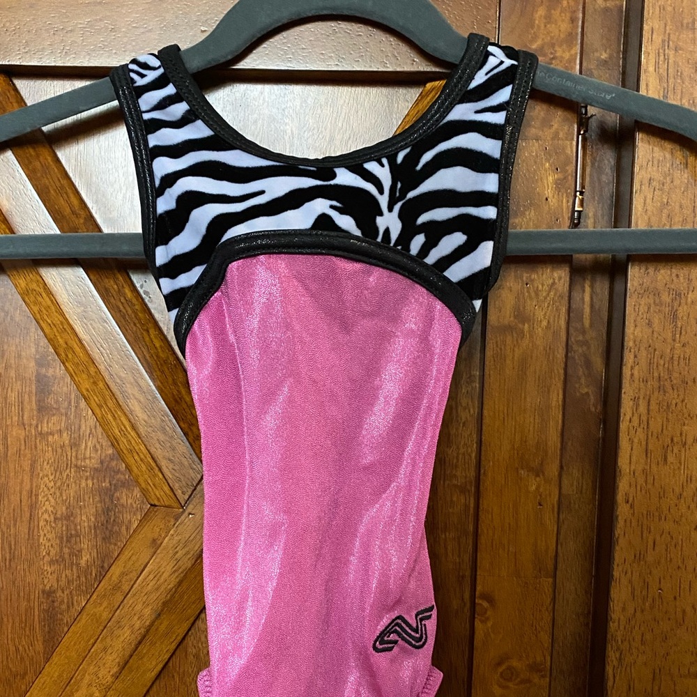Alpha Factor CS pink leotard.